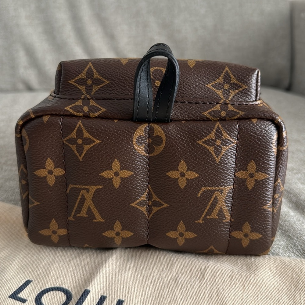 Louis Vuitton Palm Springs Mini Backpack - Picture 5 of 11